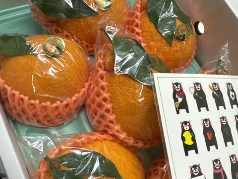 大人気の葉付き不知火2、5k(5〜10玉)ハウス栽培品❗️50箱限定とさせて頂きます。早い者ガチです(予約受け中)