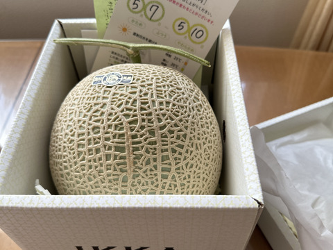 ビックリBIG！！1玉箱入り高糖度マスクメロン