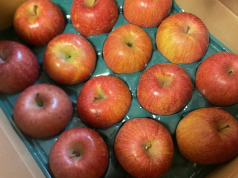 すぐ発送！農薬半減栽培葉取らず樹上完熟サンふじ5k16-23家庭用訳あり　蜜入りもあり❣️　りんご