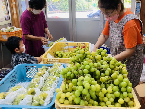 【訳あり品】甘熟シャインマスカット（約1㎏3〜4房）