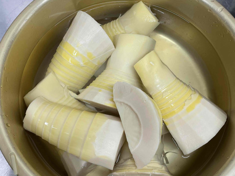 筍農家が作る！『静岡市産』筍水煮パック100ｇ×8p