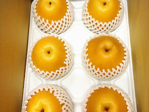 【とにかく甘い‼️】PREMIUMにっこり梨約3.0kg(5~7個)✨️新高と豊水の交配種✨️甘くてキメが細か、とってもジューシー💦酸味が苦手な方にはおすすめ品種😋鮮度を保つ為クール便でお届け🚚