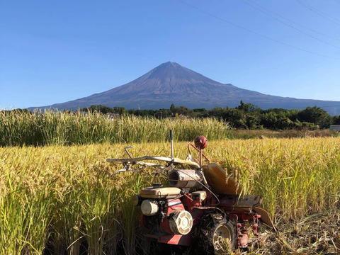 富士山麓。自然栽培(なにもいれない）の玄米10ｋｇ
