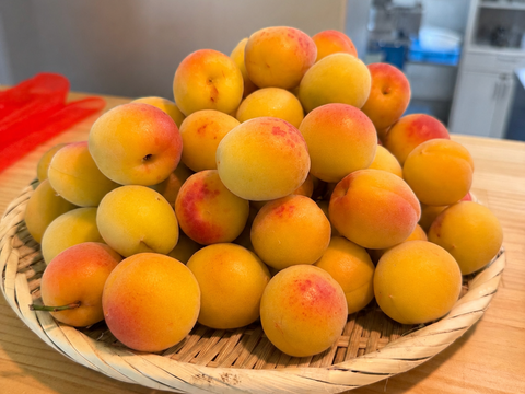 甘い香りの完熟南高梅1kg