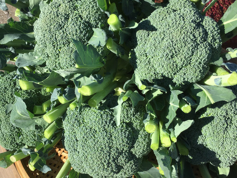 今が旬の野菜セット！新鮮美味しいお買い得♡