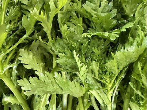 新商品‼️ほうれん草、春菊、水菜‼️緑のお野菜セット‼️各2袋ずつお入れします