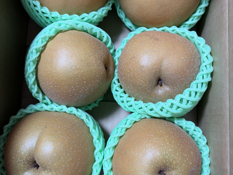 追熟してより甘い！冬に食べる梨【新雪】2.5kg(４～8玉)