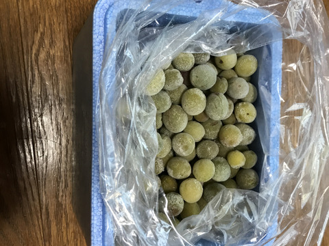 梅シロップで夏を乗り越えよう！冷凍・自然栽培小梅(シロップ用)2kg