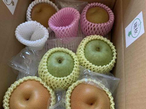 美味しい梨！ わくわく複数品種詰め合わせ 約3kg