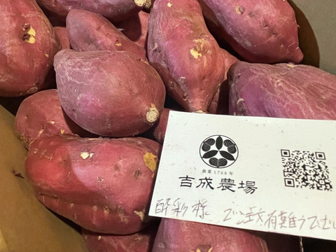 ほくほく食感と上品な甘さ！なると金時(訳あり)5kg