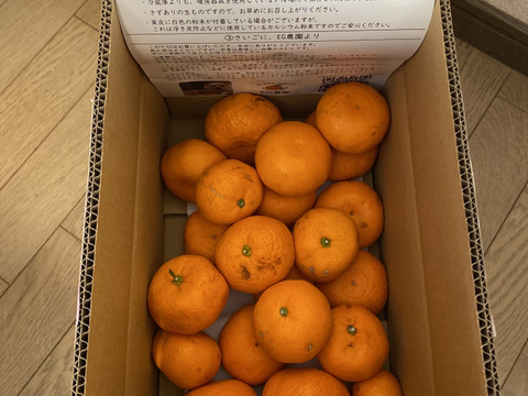 【超数量限定】丹生系晩生 有田みかん 3キロ箱 和歌山県 有田 みかん 2S~3Lサイズ　家庭用キズあり