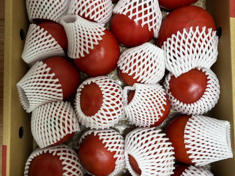 【余韻の旨さ】完全完熟トマト 約4kg   15〜30個入り🍅