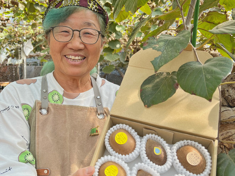 スウィートキウイ3種セット（中身は農家がその時期にあった一番おいしいものを厳選して発送いたします）S箱６個入り！