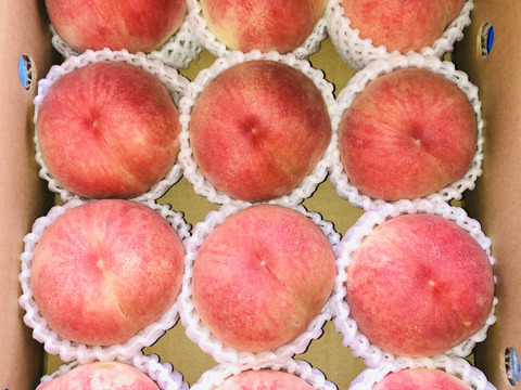 感動の甘さ！贈答に！桃源郷福島の『あかつき』（３kg箱9〜12個）【本州の方限定】