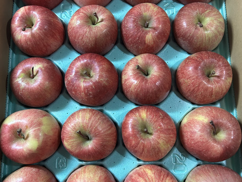 キズなし良品🍎低農薬【サンふじ 5kg】皮ごとおいしい葉とらずりんご もぎたて食感長持ち（スマートフレッシュ）貯蔵 特別栽培認証取得✨ 贈答
