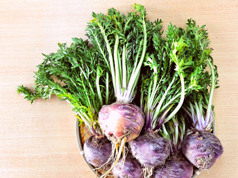 毎朝起きた時に体が重い！
疲れが抜けない！
なんか集中力が続かないって
感じるあなたへ！

千葉県産の生鮮マカ【葉なしマカ200g】