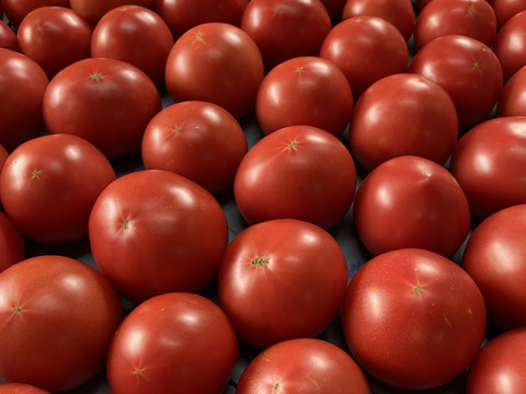 【小粒サイズ❗️】食べやすい大きさ‼️完熟トマト80サイズの箱でお届け❗️