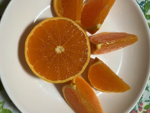 濃姫クイーン！せとか約3㎏滑らかジューシー！