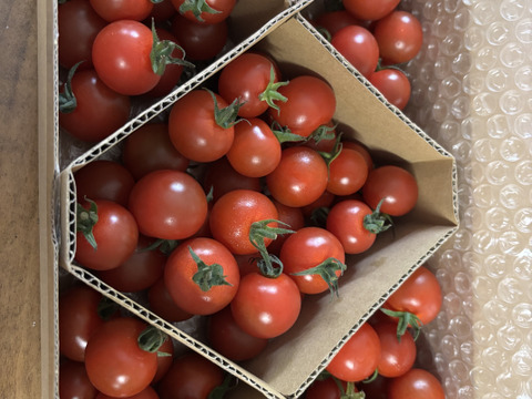 味の正統派！【小鈴】1K