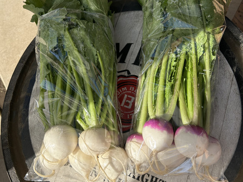 フルーツ＆あやめかぶBOX