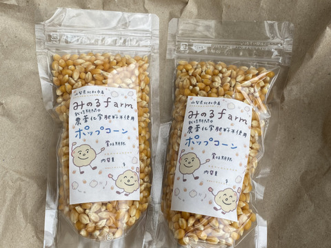 八ヶ岳南麓産！農薬化学肥料不使用のポップコーン！