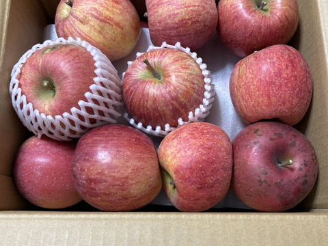 信州りんご🍎４キロパック詰め