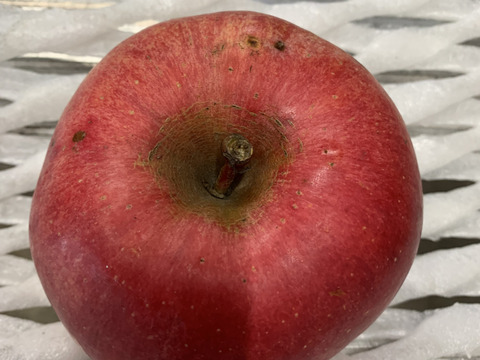 【福袋】数量限定‼️訳あり🍎🍏とジュースの詰め合わせ