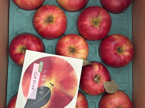 葉とらず　ジョナゴールド　約10kg【2025年産】