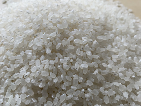 新米です！令和度兵庫県産 農薬肥料不使用の自然栽培米