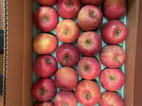 プライスダウン小玉サンふじ(40～48個入り)パック入り2段