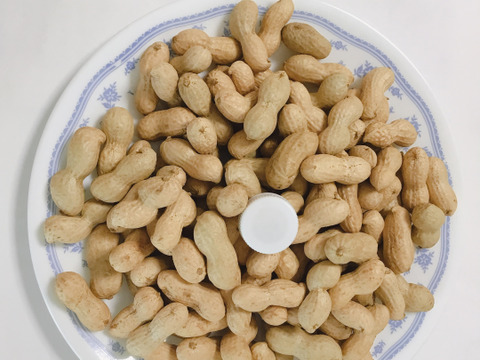 生落花生　おおまさり 550〜650グラム　厳選品