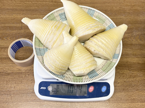 採れたてのたけのこ 1kg（孟宗竹）直ぐにお料理に使えます。弾けて響くタケノコ食感っ！