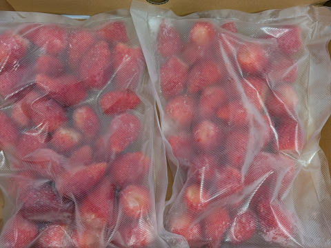 冷凍いちご1.5kg　三重県産いちご章姫　約500g
×3p