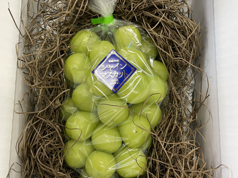 【最高級】プレミアムシャインマスカット山梨県産2房