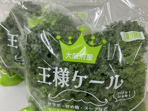 パリシャキな濃い味！王さまケールセット【1袋110～120g×4袋】