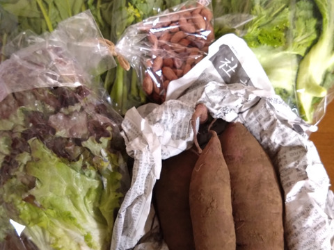 1名様向けセット／野菜4〜6種