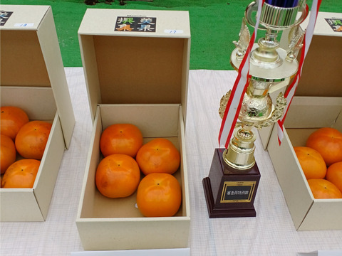 規格外の美味しさ、貴方の心を虜にする人気の柿「太秋」１０個から１２個入３．０㎏以上
令和５年「太秋」品評会で茨城県知事賞受賞