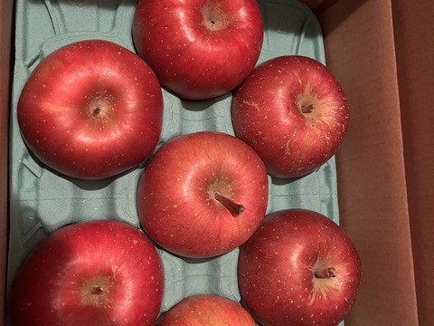 令和7年度産早期予約セール7%OFF大玉から順に発送‼️🍎青森県産葉取らず完熟ふじ約6kg家庭用‼️とことん味にこだわりました😊