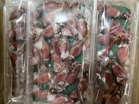 獲れたて茹でたて鮮度を即発送！！《富山湾》🦑釜揚ほたるいか🦑3パック