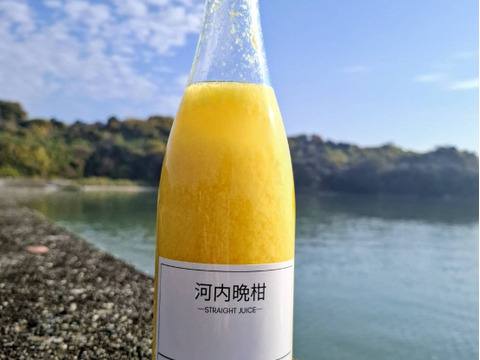 laNui labo.　河内晩柑ストレートジュース720㎖/本×12本　🍊デコポン発祥の地・不知火町より ジューシーオレンジ