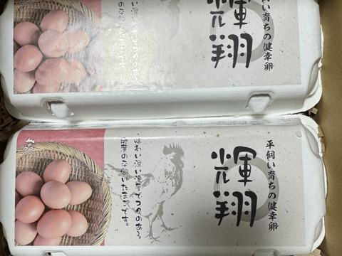 平飼い卵　20玉入　濃厚！まろやか！白身はふっくら！　輝翔卵【MS～LLサイズ２０玉】