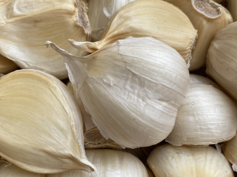 令和7年産　青森県産にんにく　バラ　５００g  訳あり