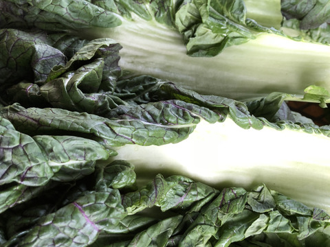 無添加　漬物　6種セット　（沢庵　古漬け　梅干し　らっきょう）