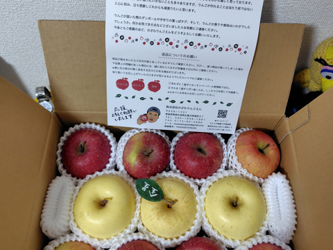 ★★大幅値下げ★★【アワード受賞福袋】【食べ比べ】🍎葉とらずふじ⭐️金星（９～１１玉）約３キロ箱 ID179783 青森 りんご