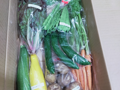 希少な自然栽培の野菜ボックス【Ｍサイズ】