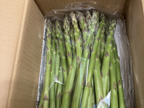 産地直送 長崎産アスパラガス B品Sサイズ500Gの通販 by アグリ
