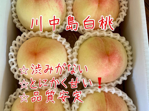 【進物用】ロイヤル♡7品種甘い岡山白桃♡約2kg箱5〜8個入り