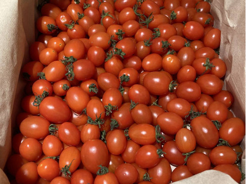 【食べチョク新人賞🏅】やみつきになる甘さ🍅高糖度フルーツミニトマト2Kg