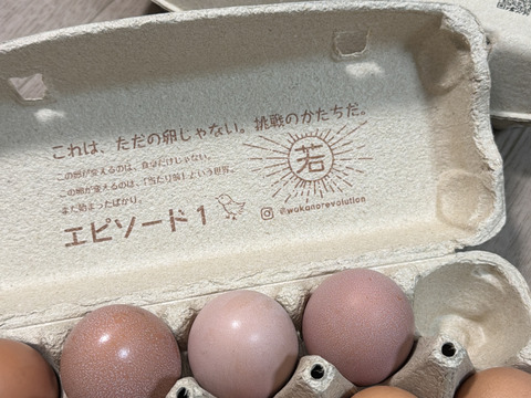 放牧させた鶏が産んだ卵！若のレボリューション！海外飼料不使用、自家製発酵飼料。鶏が体の外も中も健康に育っているから素敵な卵が産まれています！【母の日ギフト】