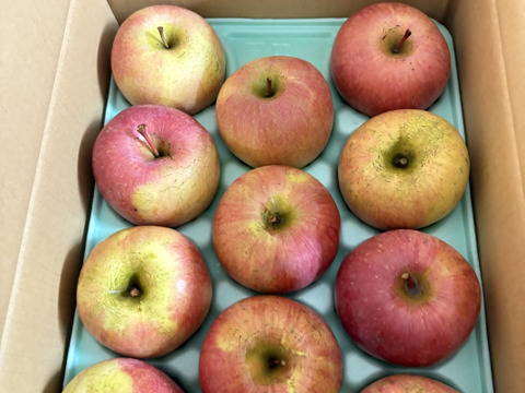 サンふじ(おうち用)3kg「見た目いまいち、味で勝負!!」